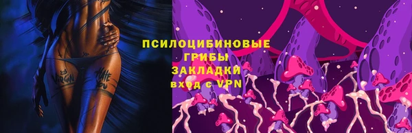 индика Семёнов